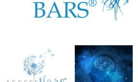 ACCESS BARS Eğitimi